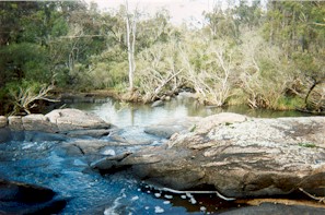 creeksm.jpg (29381 bytes)