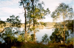 damsm.jpg (20361 bytes)