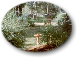 A Highfields garden scene.