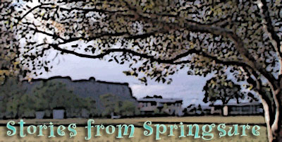 Stories from Springsure